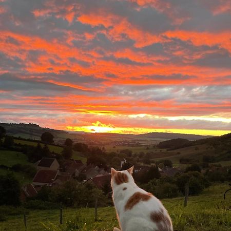 La Petite Maison Dans La Campagne Massingy-les-Vitteaux Bagian luar foto