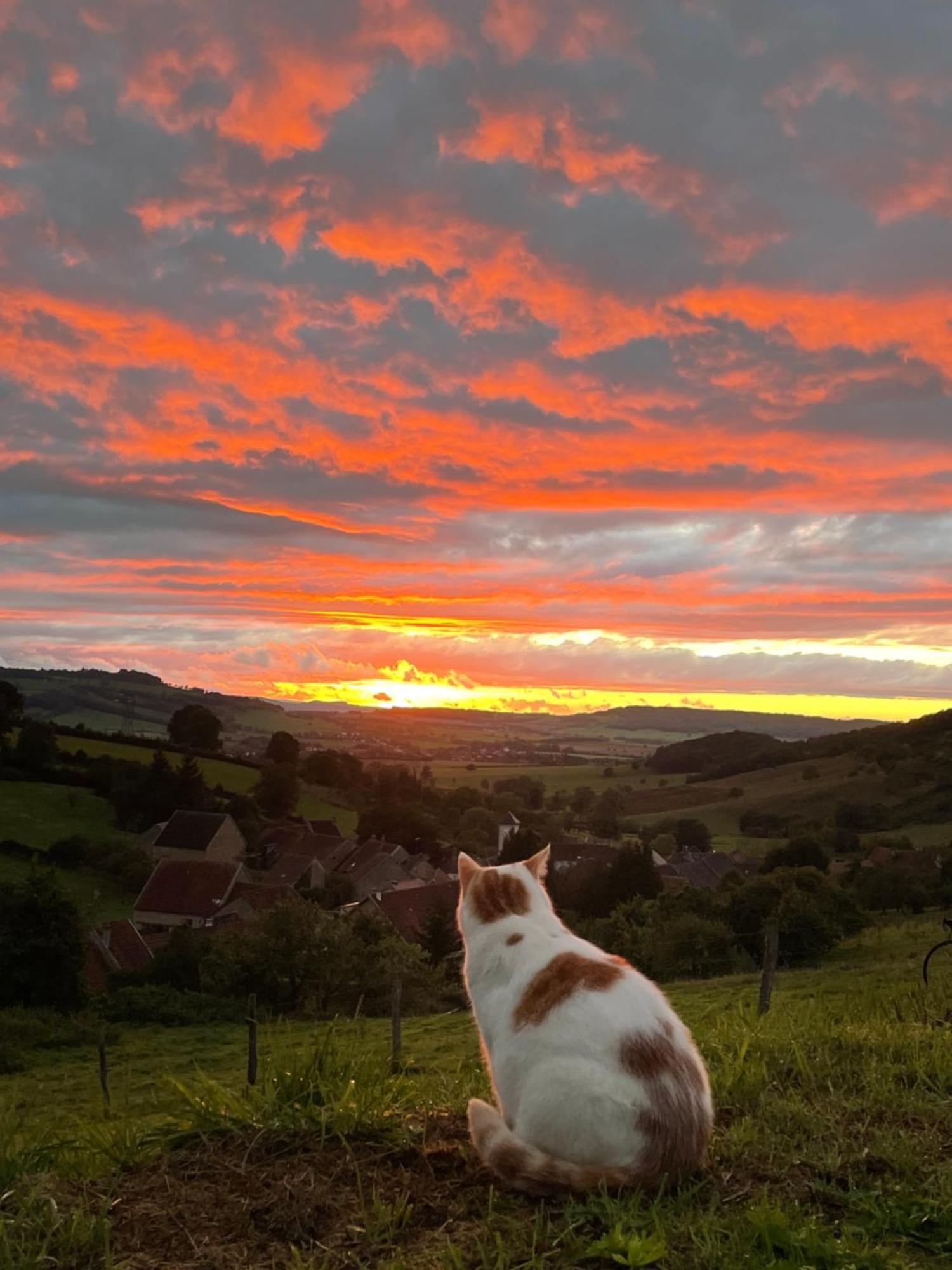 La Petite Maison Dans La Campagne Massingy-les-Vitteaux Bagian luar foto