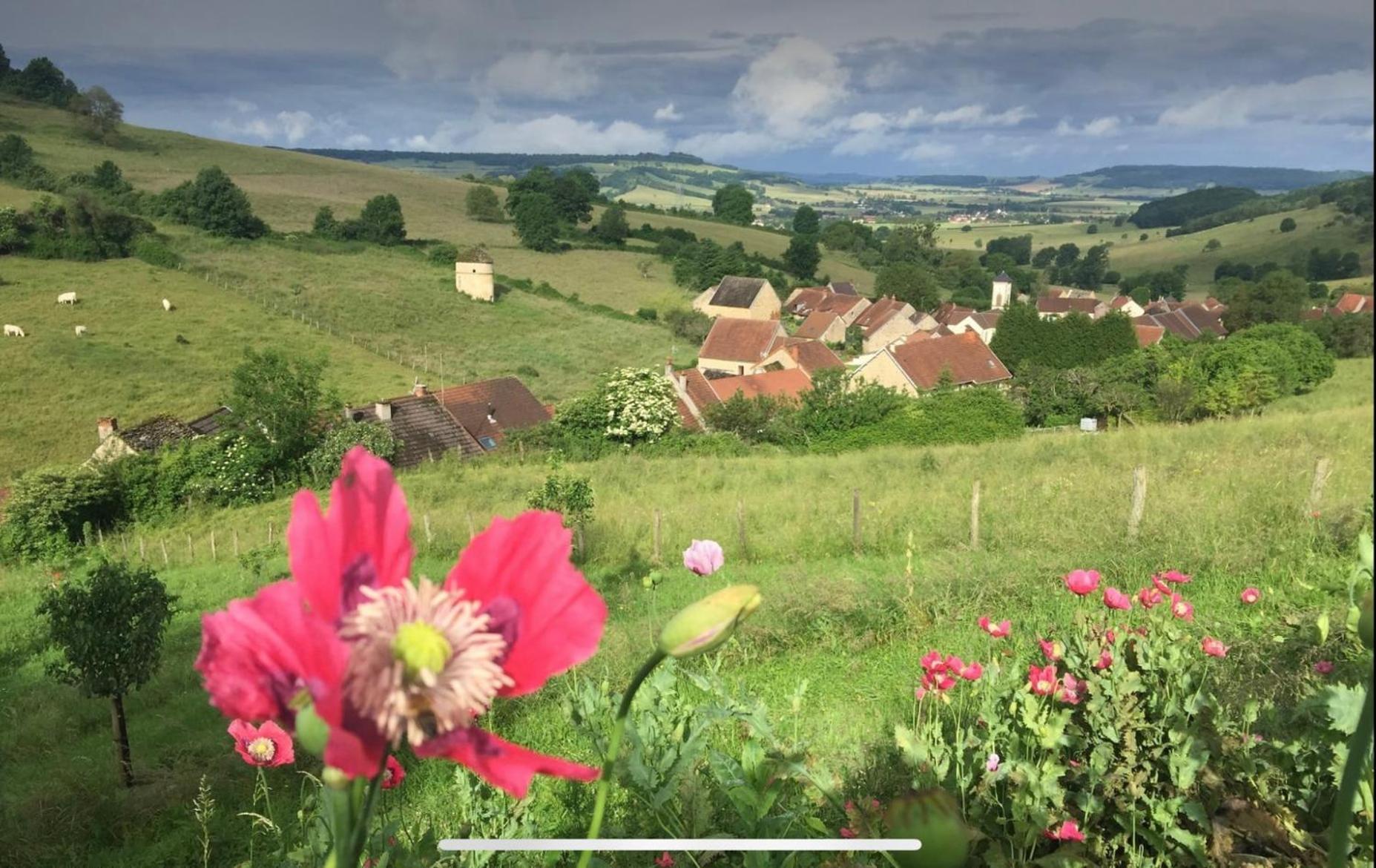 La Petite Maison Dans La Campagne Massingy-les-Vitteaux Bagian luar foto